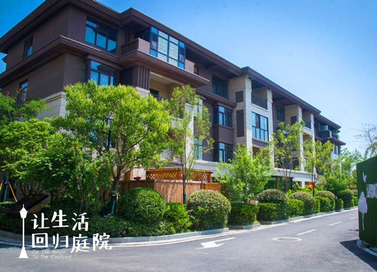 前后张望南阳50年：这样的天井，，，，，很难再有了！