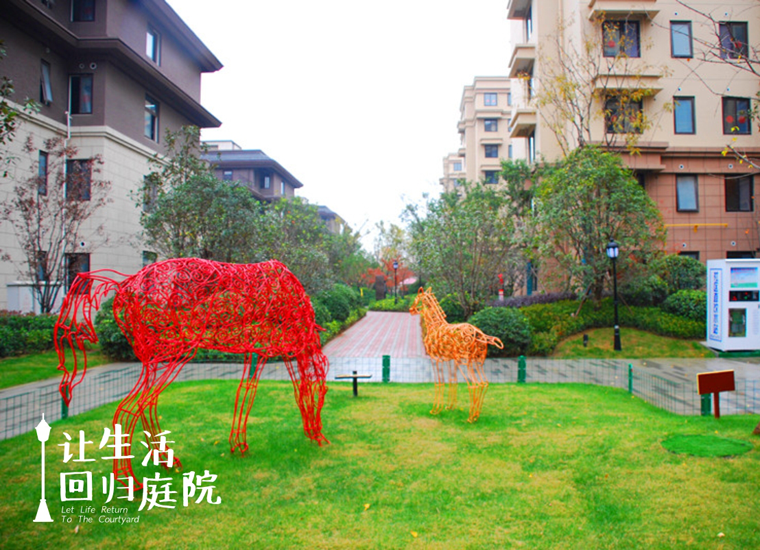 前后张望南阳50年：这样的天井，，，，，很难再有了！