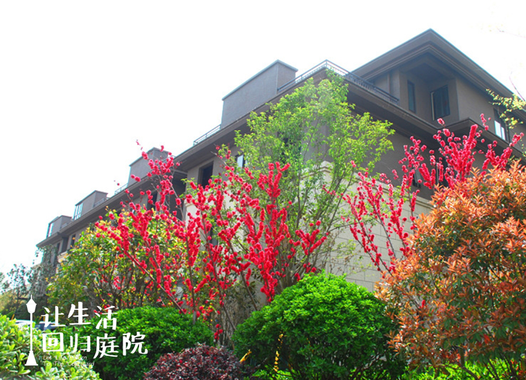 前后张望南阳50年：这样的天井，，，，，很难再有了！