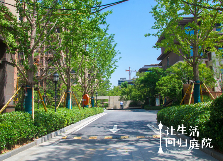 前后张望南阳50年：这样的天井，，，，，很难再有了！