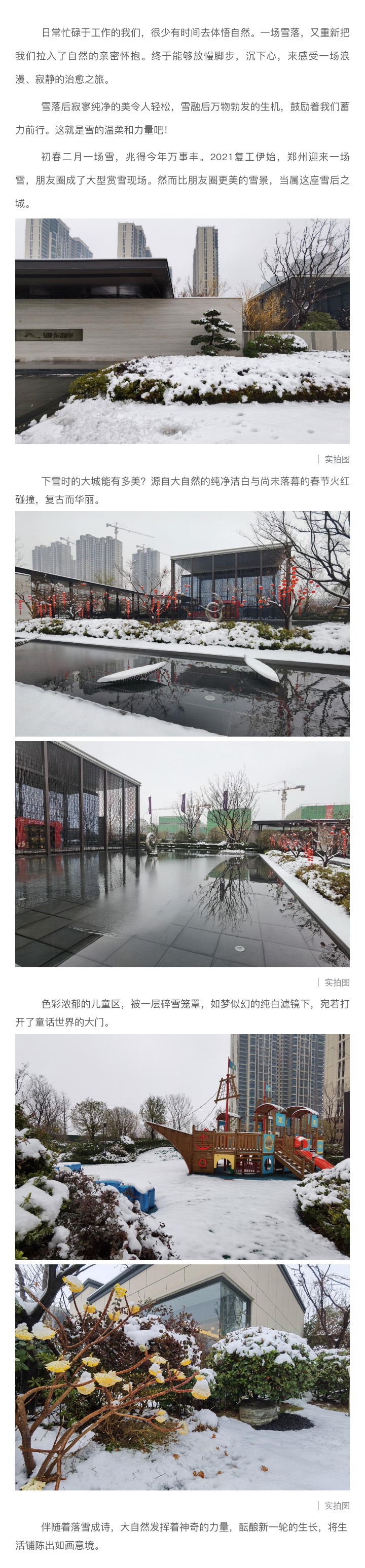 2021浪漫开年，，，，，，，共赏一场鹅毛大雪！